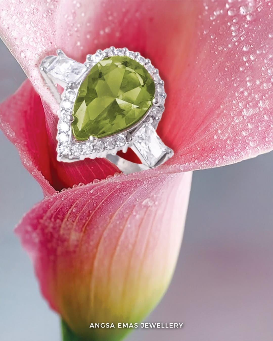 Pear-Cut Halo Ring